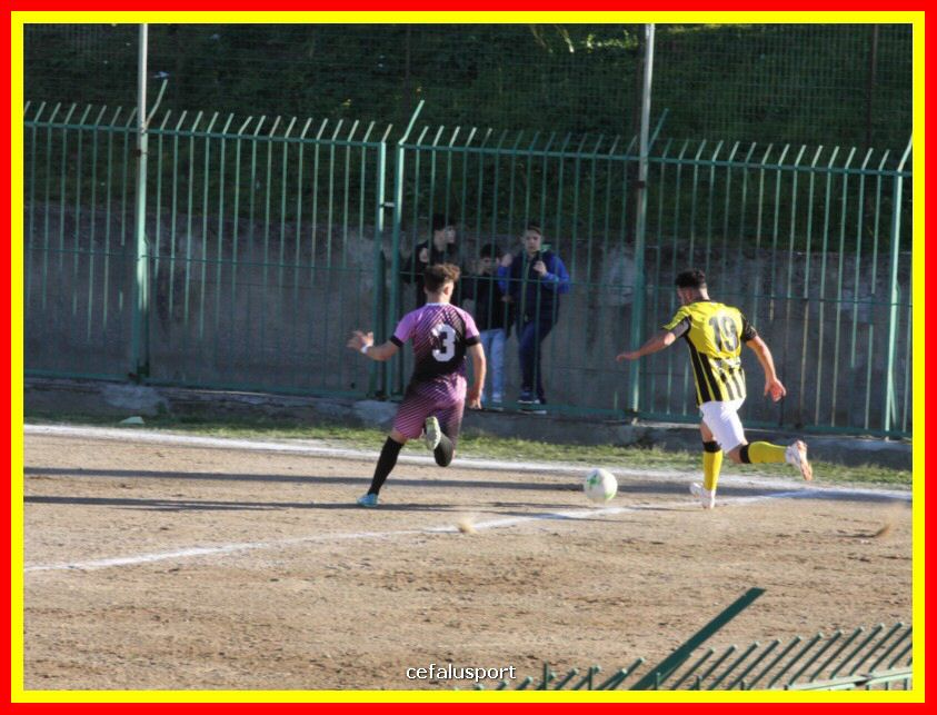 190310 Cephal_Torrenov 170_tn.jpg